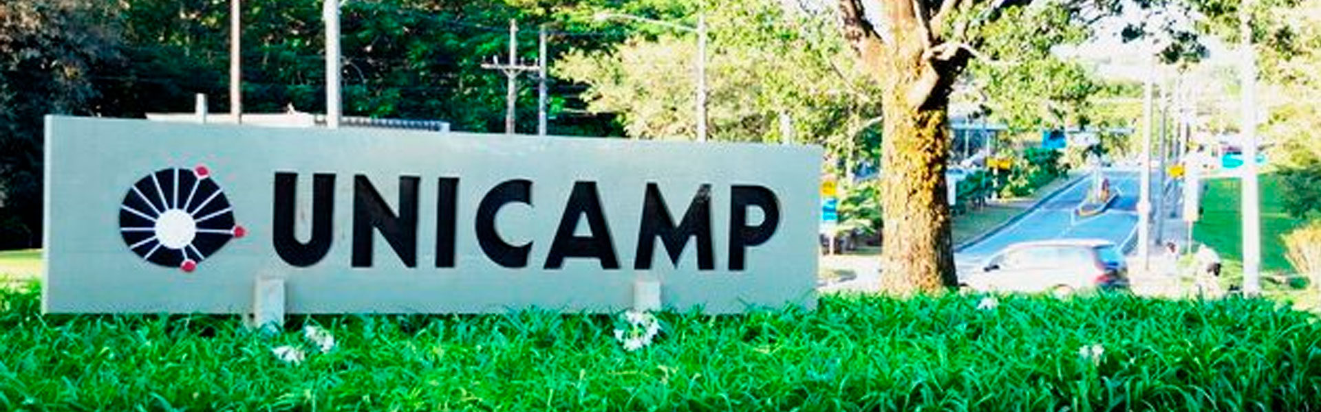 Confira 20 curiosidades sobre a prova residência na Unicamp!