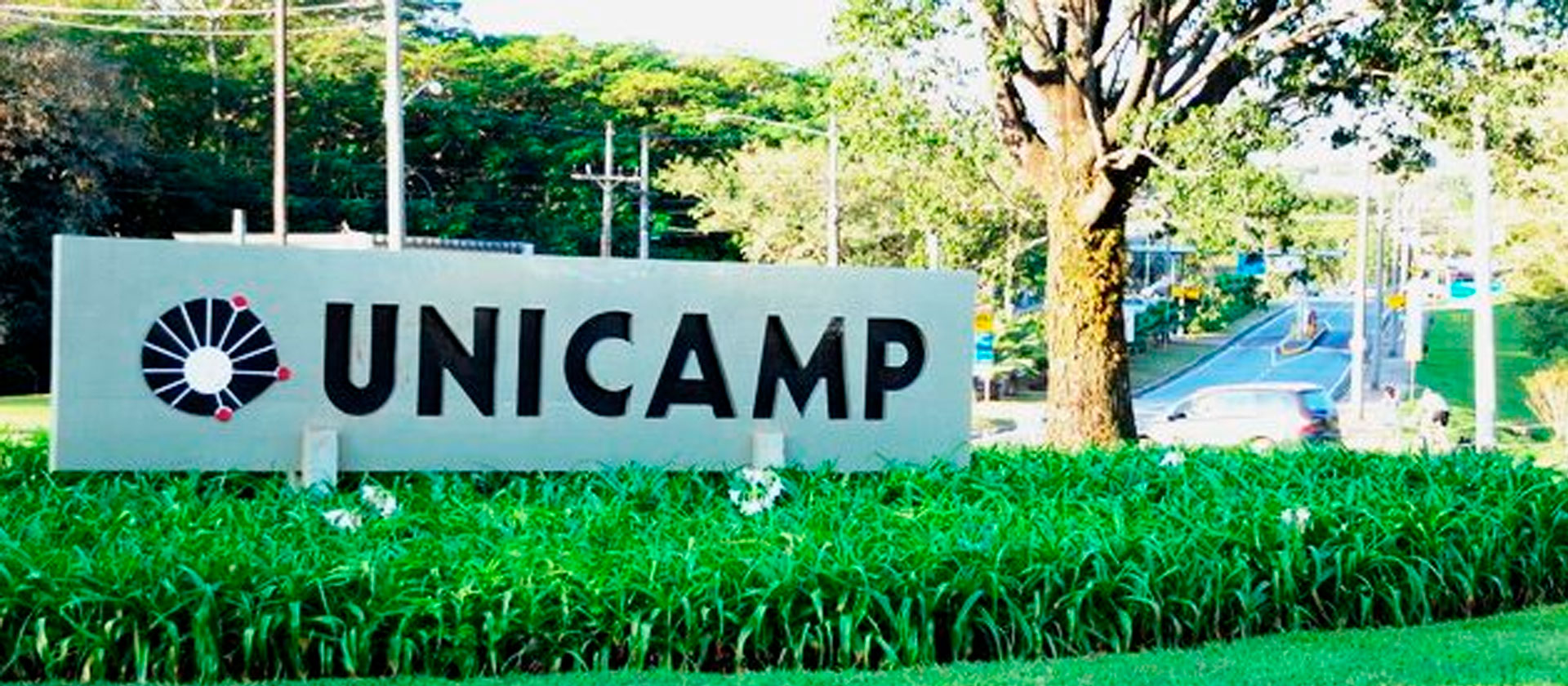 Confira 20 curiosidades sobre a prova residência na Unicamp!